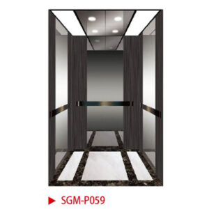 observation elevator g019 । 450 kg 6 person passenger elevator